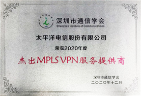 02. 2020 杰出MPLS VPN 服务提供商.jpg